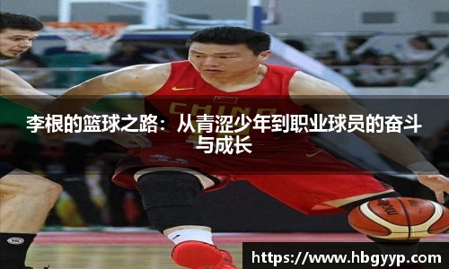 B体育bsports