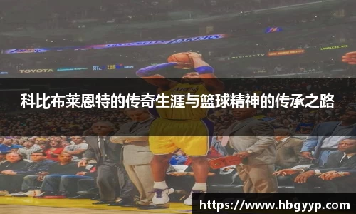 B体育官网
